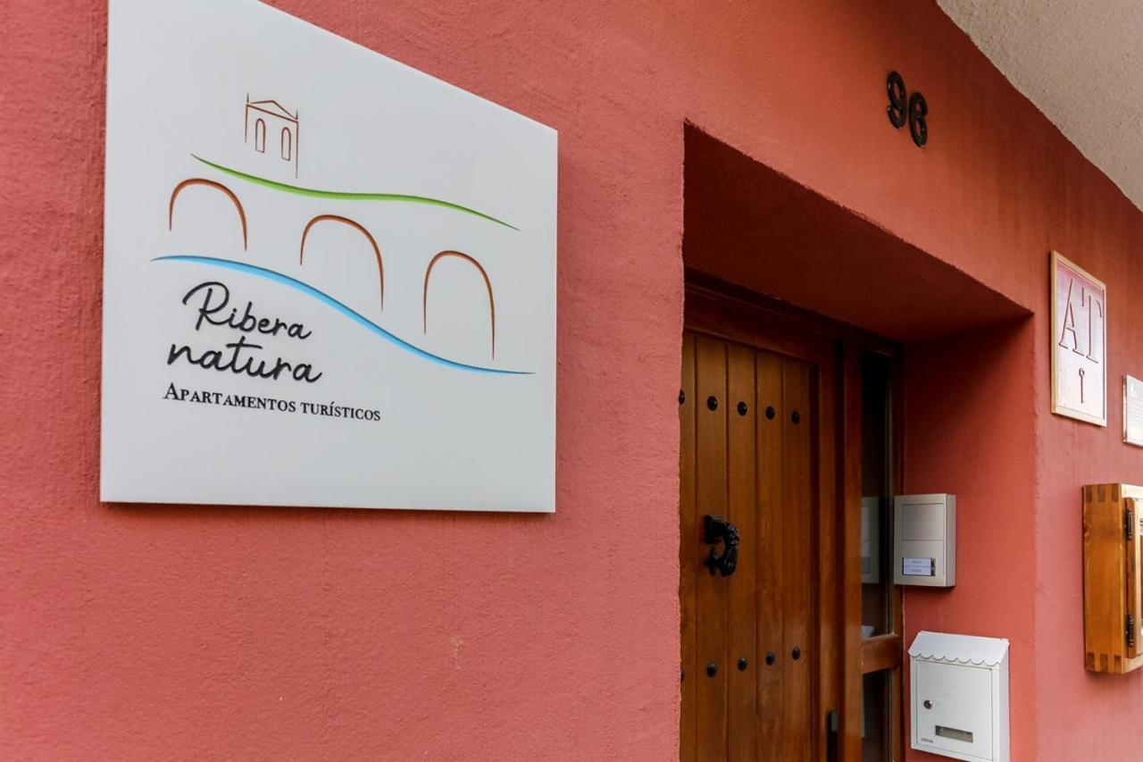 Apartamentos Turisticos Ribera Natura San Martin de Rubiales Εξωτερικό φωτογραφία